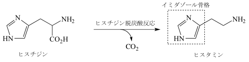 解説画像